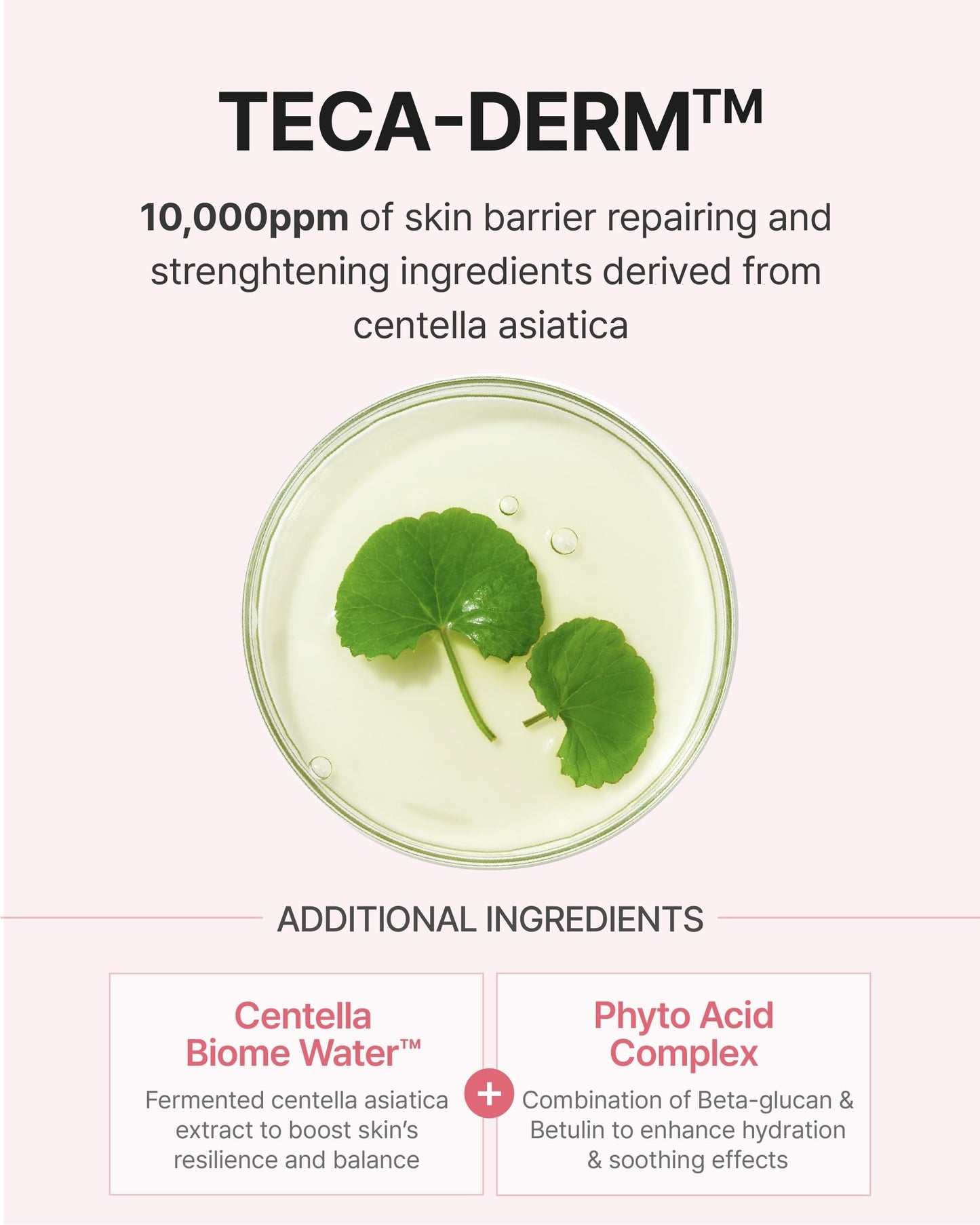 CENTELLIAN 24 Madeca Daily Repair Toner (5.07fl oz) - Hydrating & Soothing Face Toner for Sensitive Skin, Milky Tonor, Fast Absorbing, Strengthens Skin Barrier, Korean Skin Care. Centella Biome Water