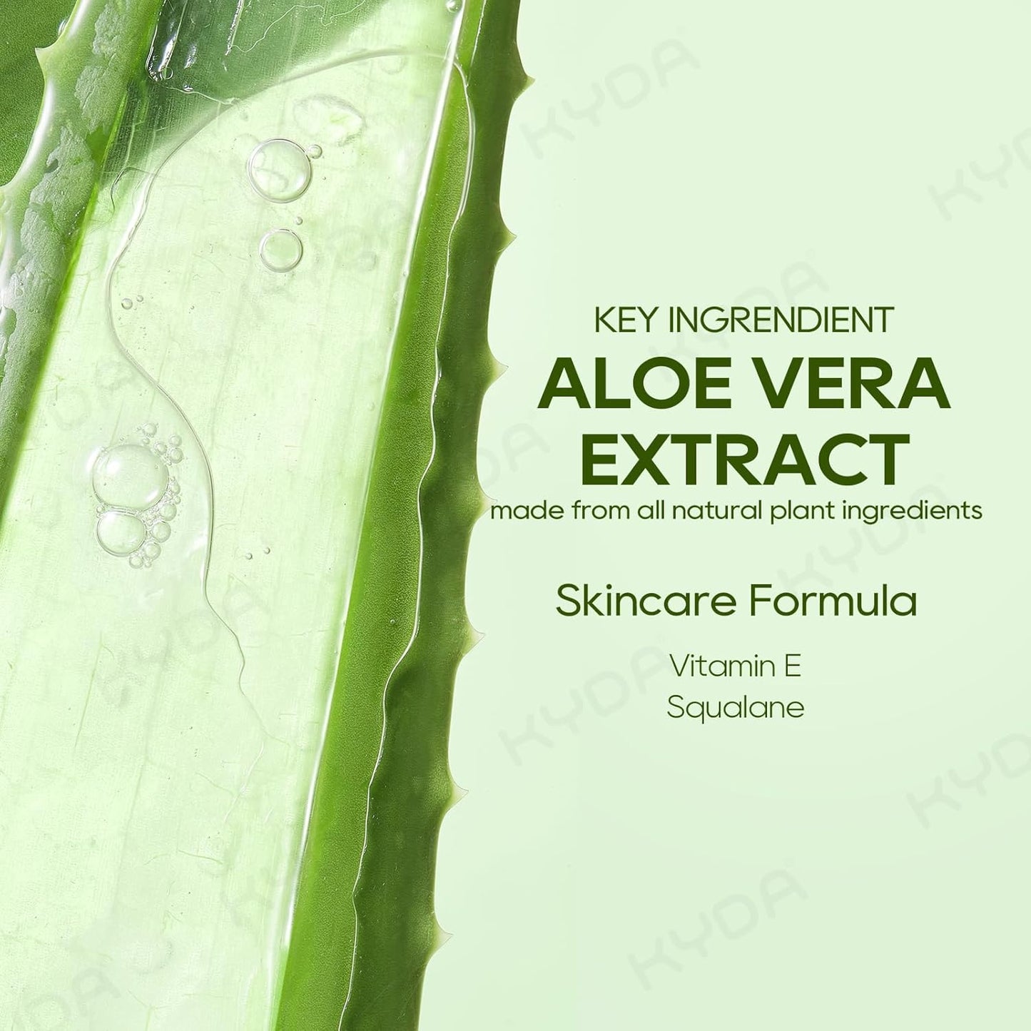 Aloe Vera Lip Balm Set - Deep Hydrating Formula for Dry, Cracked Lips | 3 Pcs, Colorless Finish