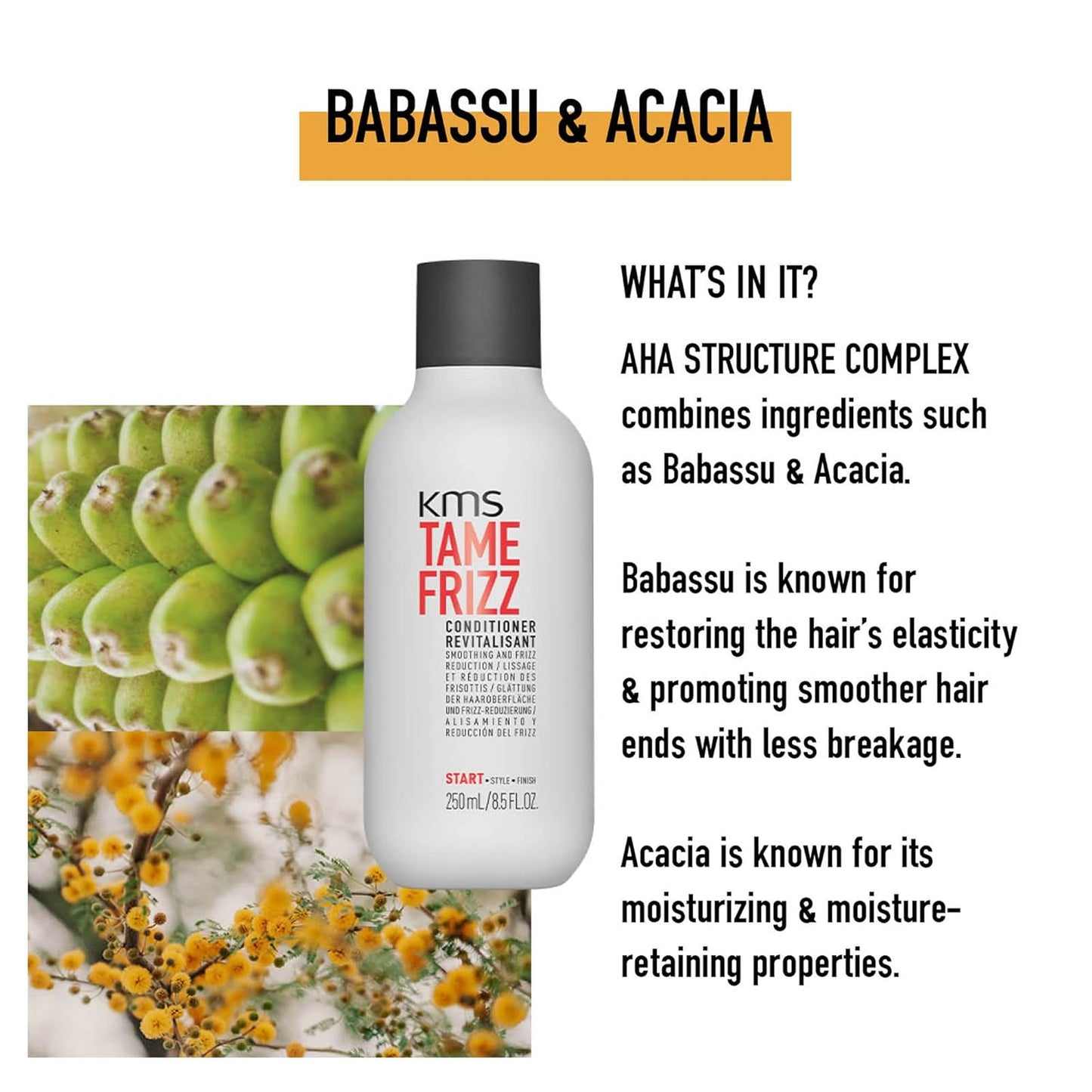 KMS TAMEFRIZZ Conditioner