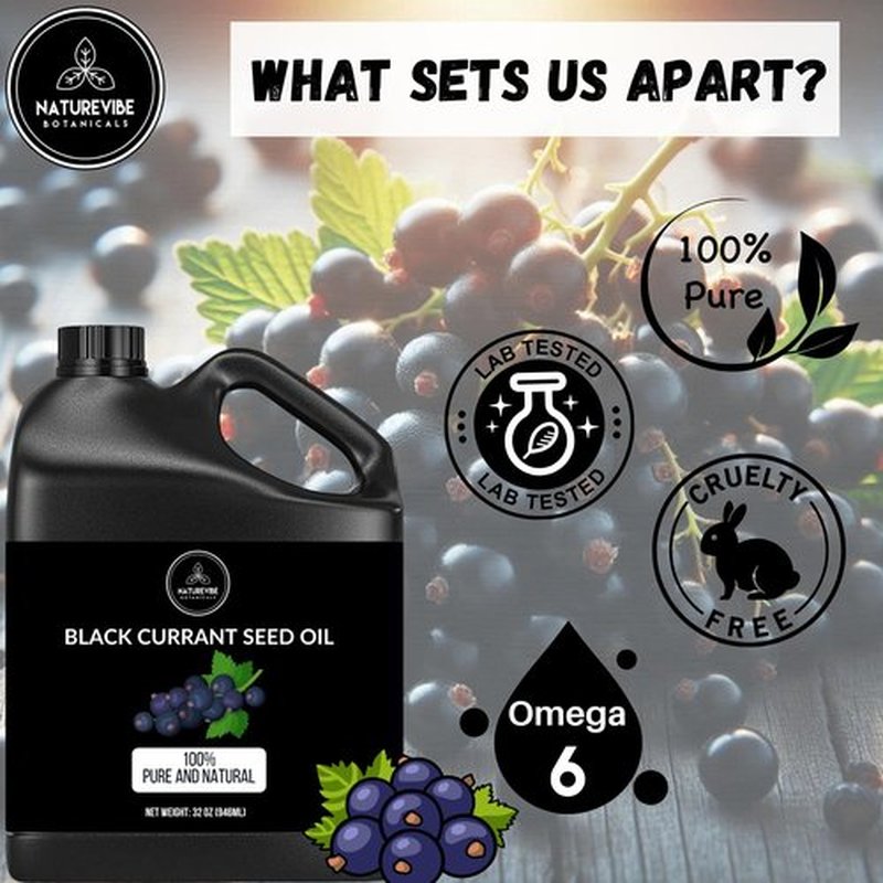 Naturevibe Botanicals Black Currant Oil 32 Ounces | 100% Pure and Natural | Great for Skin Care and Hair Care