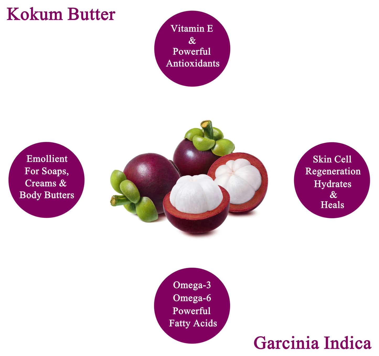 Plant Guru Raw Kokum Butter 3 lbs. Bulk 100% Pure Natural - Great for Skin, Body and Hair Moisturizer, DIY Creams, Balms, Lotions and Soap Making.