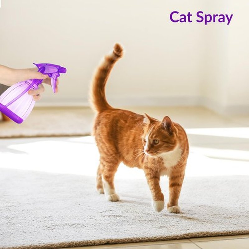 DilaBee Spray Bottles (12 Oz) Water Spray Bottle for Hair, Plants, Cleaning Solutions, Cooking, BBQ, Squirt Bottle for Cats - Empty Spray Bottles - BPA-Free - Multicolor (Purple, 1 Pack)