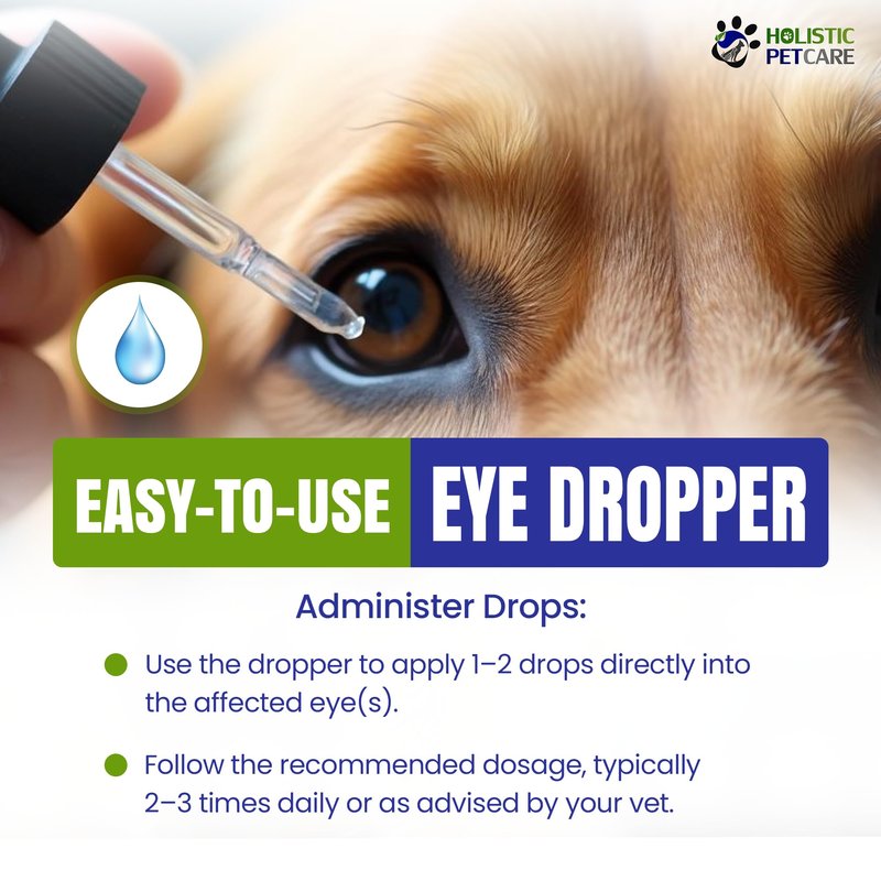 Holistic Pet Care Eye Ulcer Drops – Colloidal Silver with DMSO for Prompt Absorption, for Dogs & Cats Eye Infections, Irritations, Ulcer & Cataract – Great Natural Care Solution for Pet Wellness (4oz)