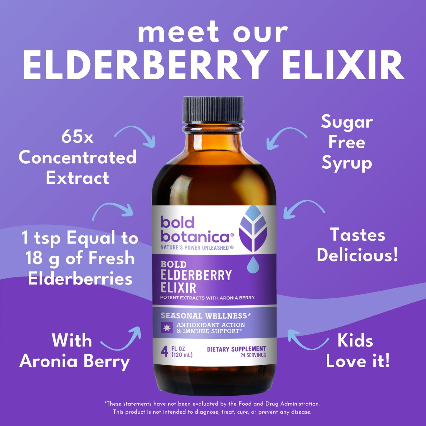 Bold Botanica Elderberry Elixir – 65X Concentrated Extract – Sugar-Free & Kid Friendly – Immune Support Elderberry Syrup for Kids & Adults with Aronia Berry & Monk Fruit – 4 fl oz