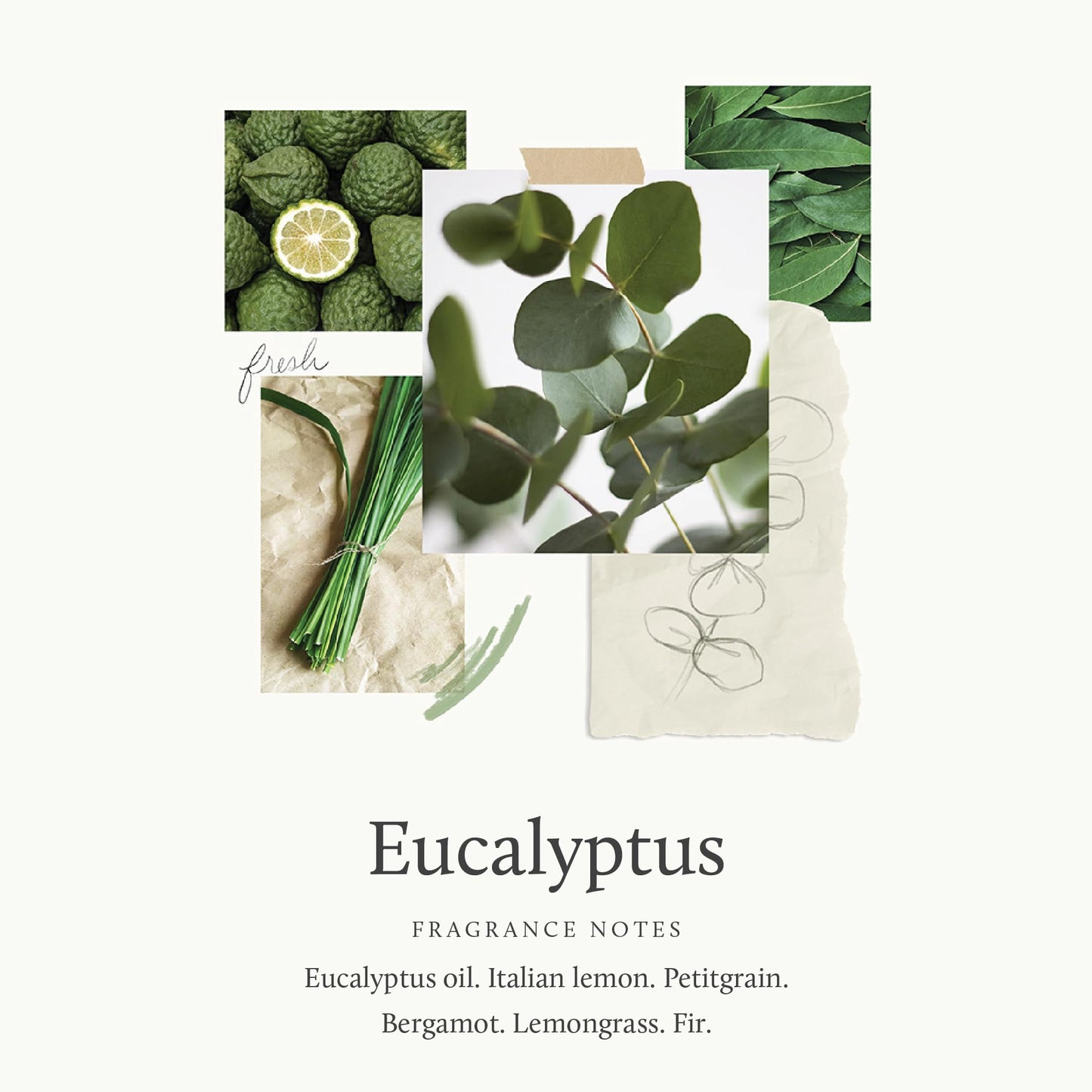 Thymes Eucalyptus Bar Soap - 6 Oz
