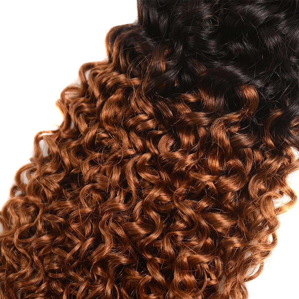 Ombre Water Wave Bundles 1b/30 Bundles Human Hair Weave 12 14 16 Inch 1B/30 Water Wave Bundle Human Hair 8A Brazilian Virgin 2 Tone Black and Brown Water Wave Bundle