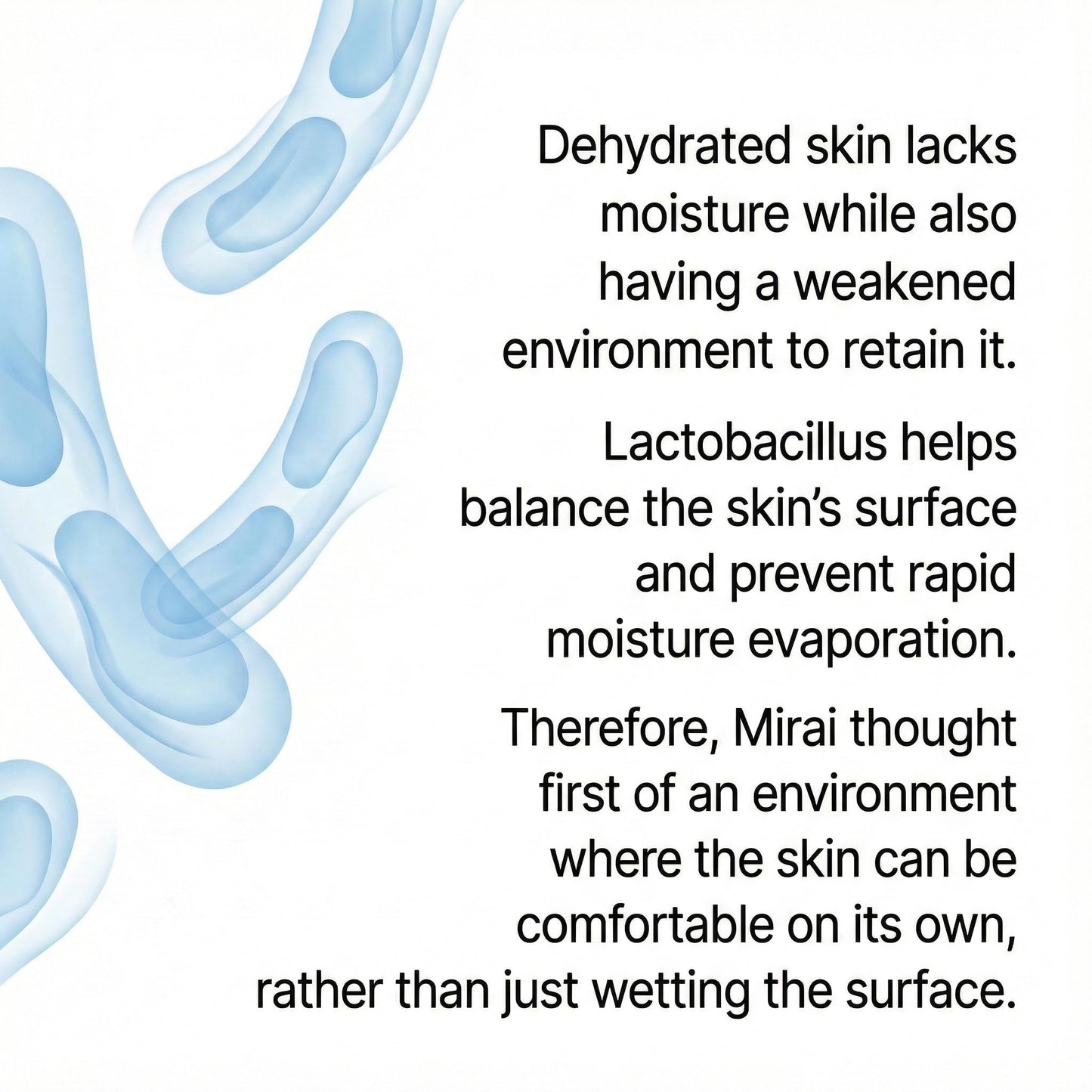 MIRÈIO Lactobacillus Hydrating Facial Mist 100ml / 3.38 fl oz Korean Face Spray for Dry Skin, Fine Micro Mist, Barrier Support