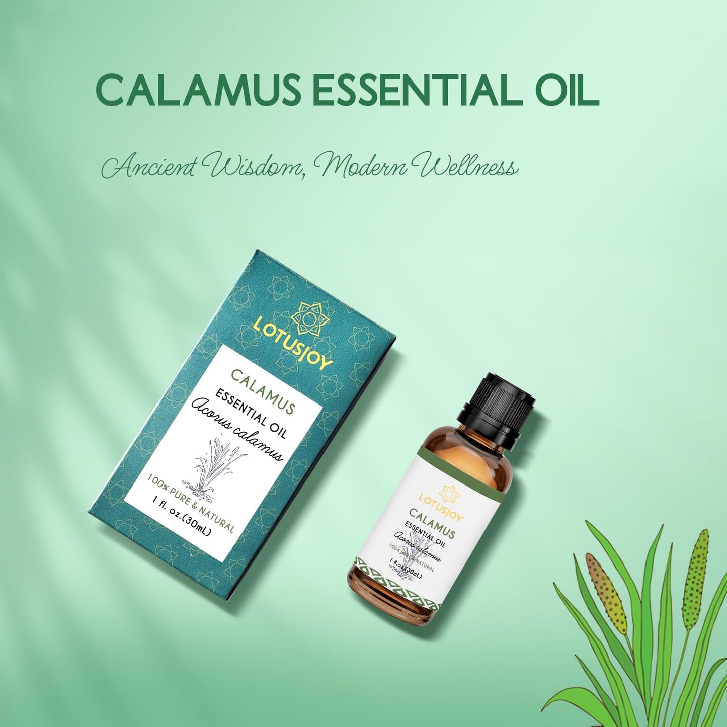 LOTUSJOY Calamus Essential Oil for Skin Hair Diffuser DIY Anointing Oil- 1 Oz