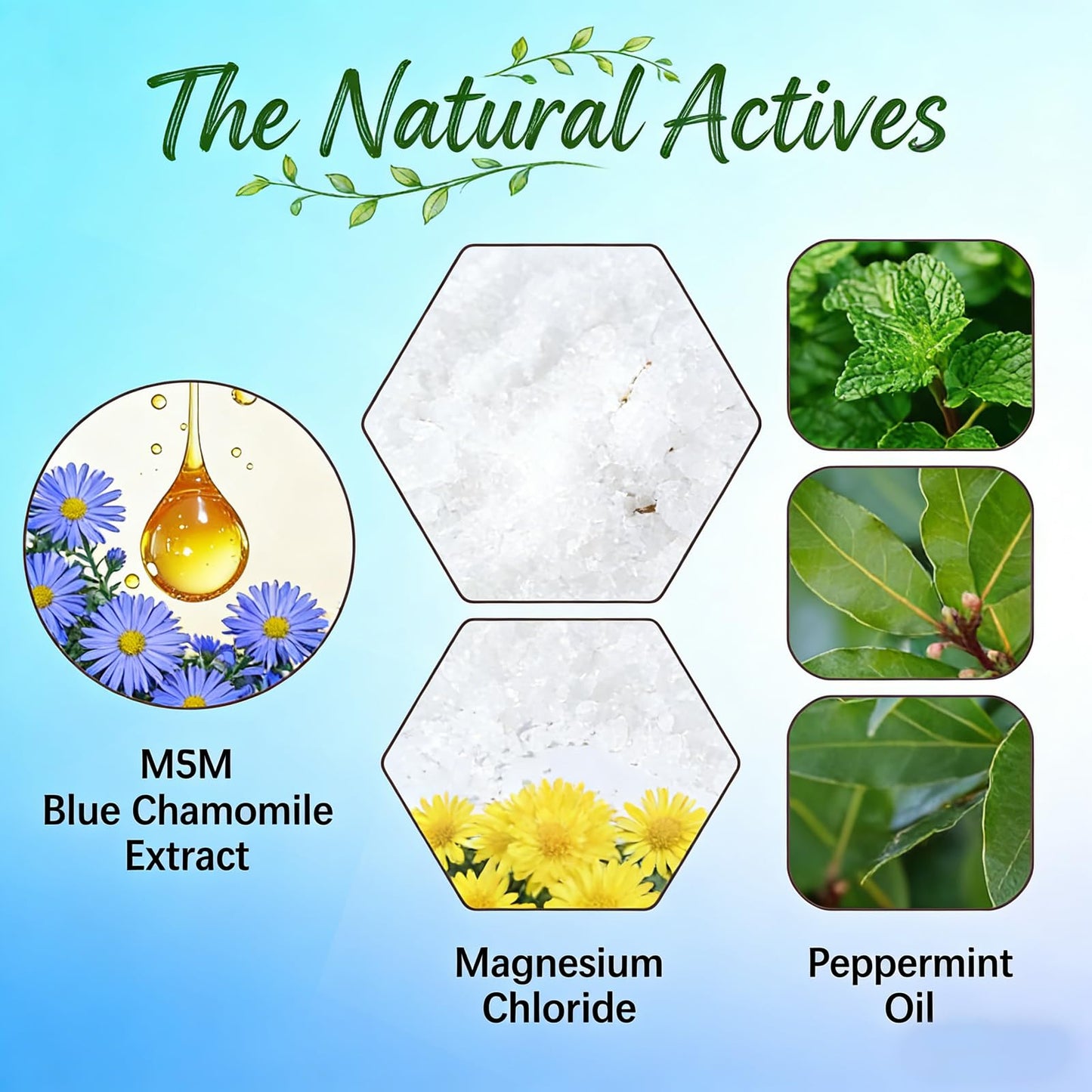 Soothing Herbal Balm for Muscle & Joint Comfort Fast-Absorbing, Non-Greasy Massage Cream for Neck, Shoulders, Hands, Feet & Back