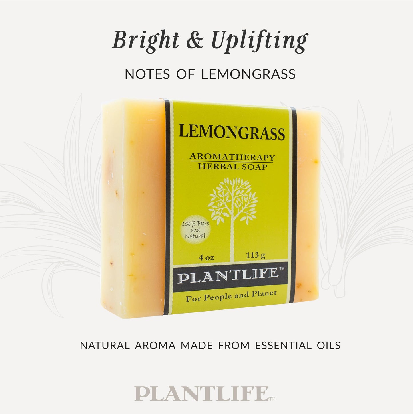 Plantlife Lemongrass 3-pack Bar Soap - Moisturizing and Soothing Soap for Your Skin - Hand Crafted Using Plant-Based Ingredients - Made in California 4oz Bar