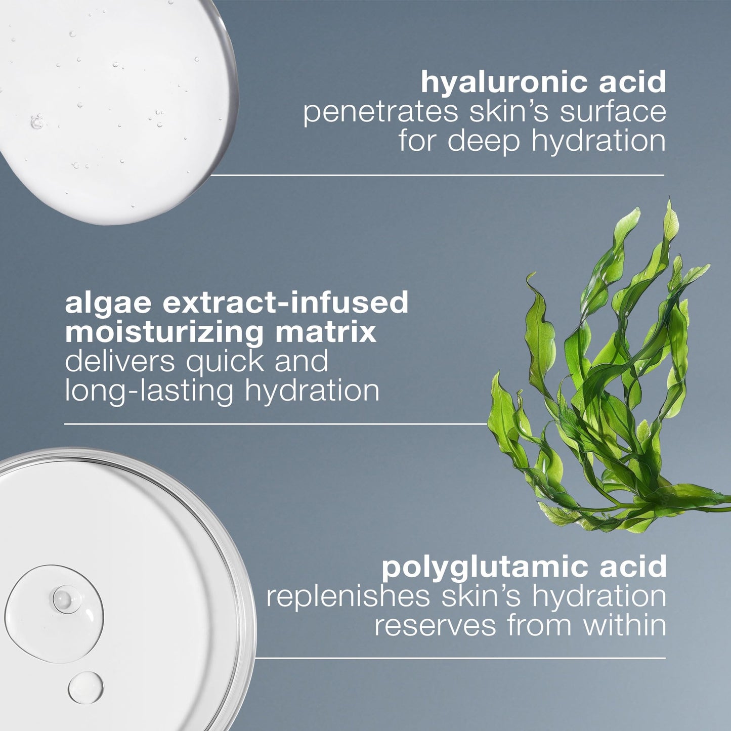 Dermalogica Circular Hydration Face Serum with Hyaluronic Acid