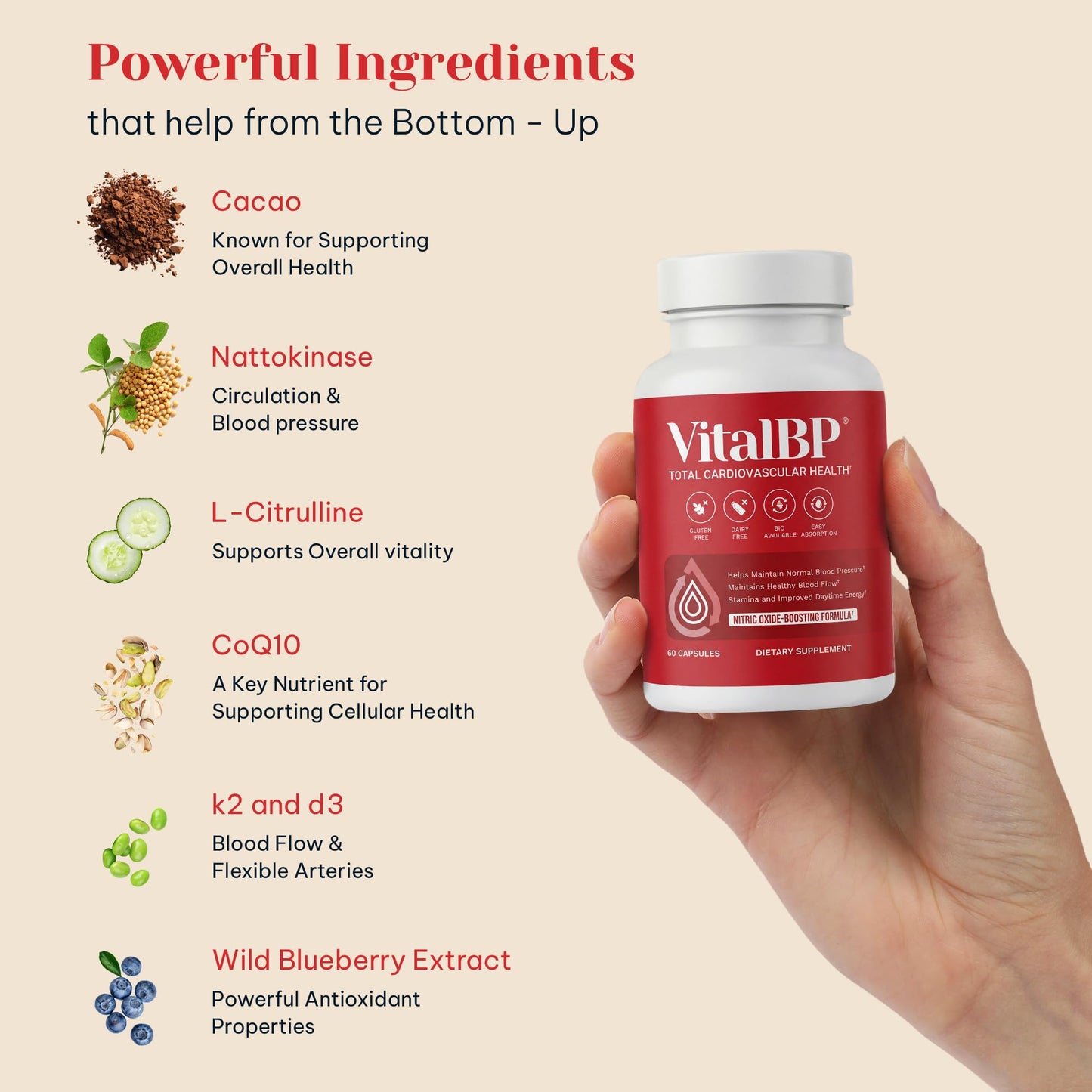 VitalBP - 2 Pack - Support for Normal Blood Pressure - Supports Blood Flow & Arteries - with CoQ10, L-Citrulline, and K2 & D3-60 Capsules
