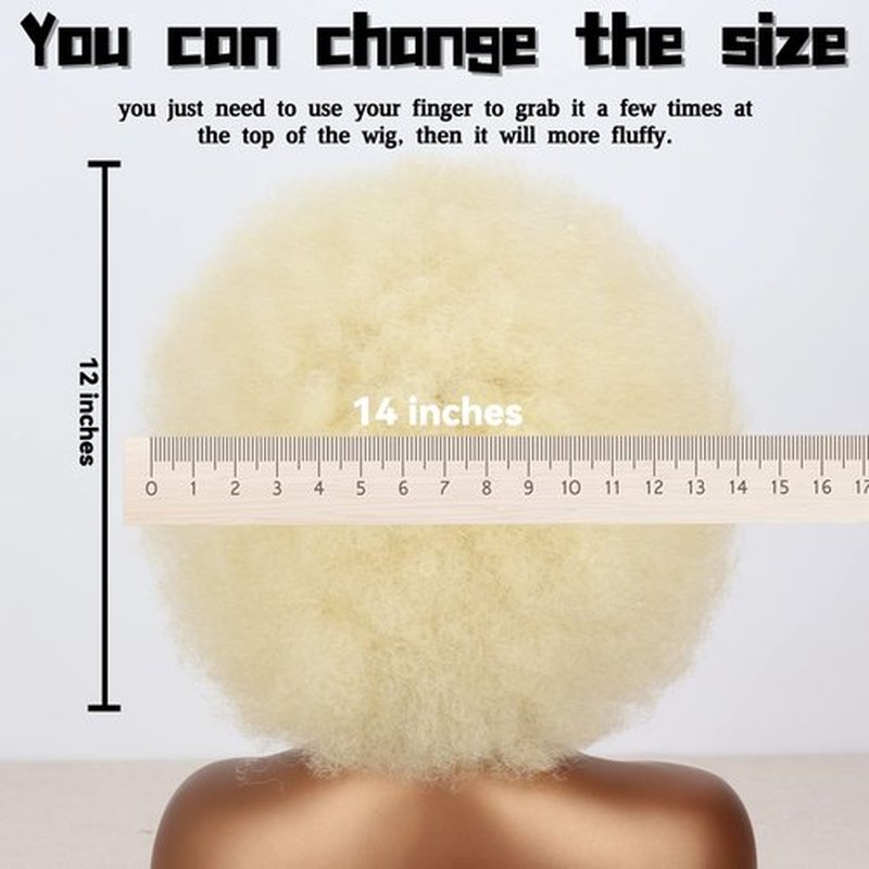 Xinran 70s Blonde Afro Wigs for Black Women, Beige Blonde Curly Afro Wigs Natural Looking, Large Bouncy Afro Wigs for Women