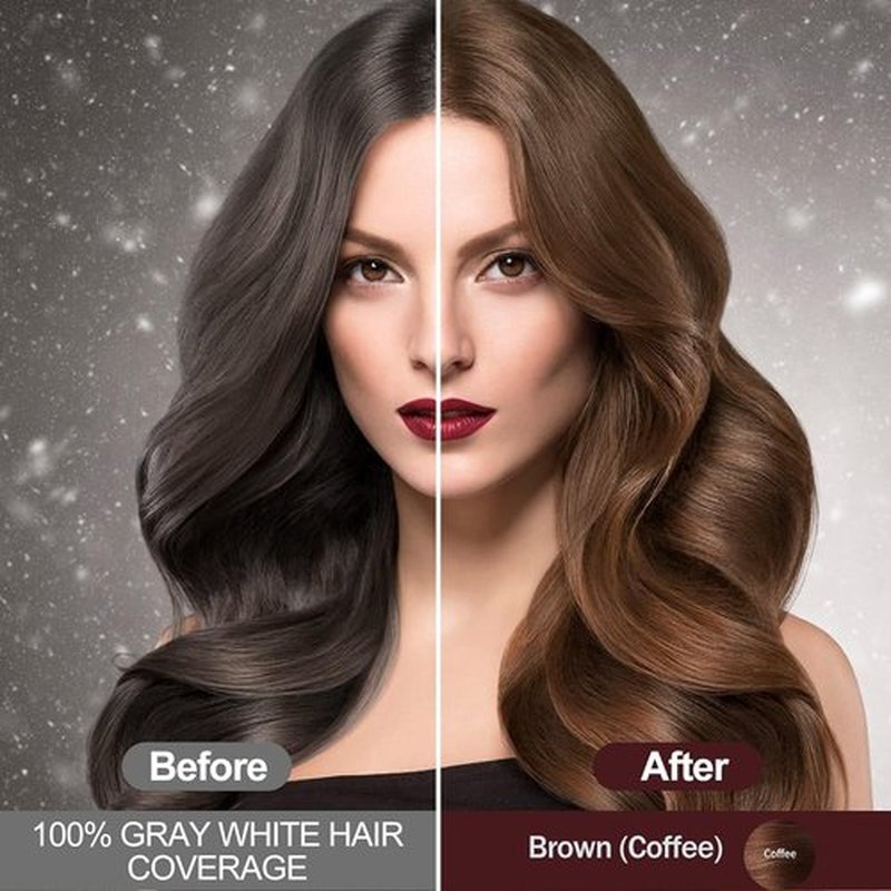 RILSIC Brown Hair Dye Shampoo 3 IN 1, Instant Hair Color Shampoo for Women Men -Natural Hair Dye Shampoo - Grey Hair Coverage, Black Hair Dye Coloring in Minutes(500ML, 17.6 Fl Oz) (Coffee）