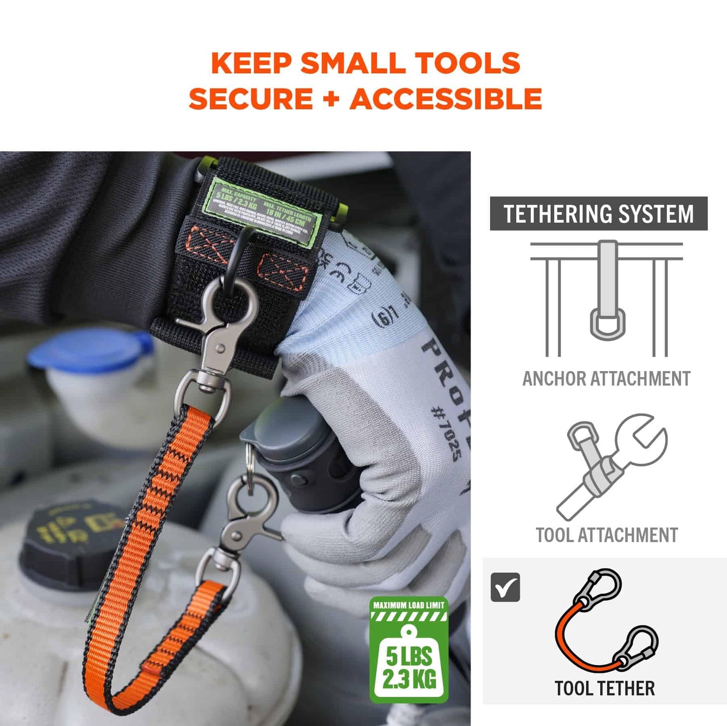 Ergodyne Squids 3153 Nylon Web Tool Tether, 12 inch Short Lanyard - Dual Trigger Hook Attachment Ends, 5 lbs