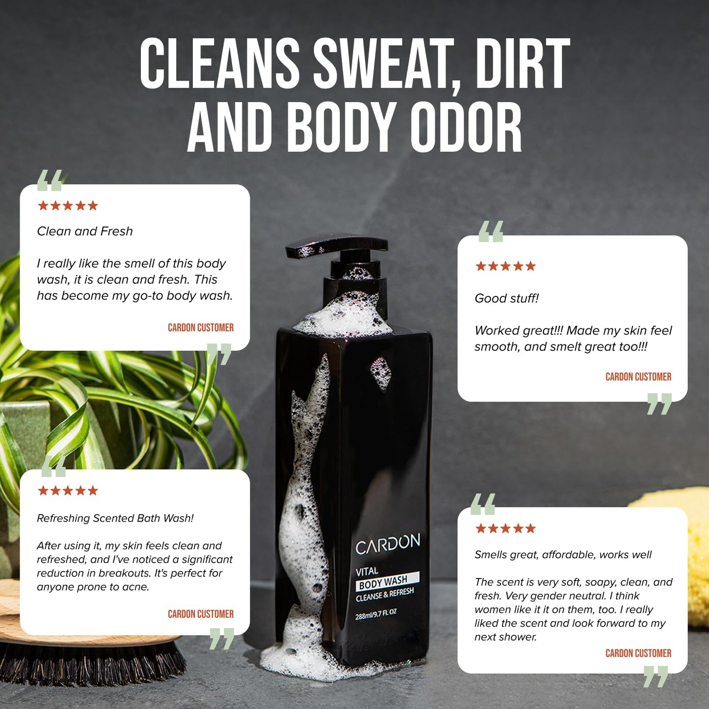 Cardon Acne Clearing Men's Body Wash, Korean Skin Care, All Natural Green Tea Extract, Sea Buckthorn, & Cica Combat Breakouts, Prevent Body Odor to Deeply Cleanse w/o Stripping (1 PK)