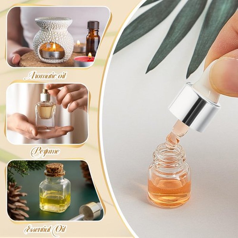 Didaey 100 Pcs Mini Glass Dropper Bottle Bulk, 1 ml Sliver Clear Essential Oil Dropper Bottles Small Tincture Empty Bottles Sample Containers Perfume Liquid Vials with Cap for Traveling