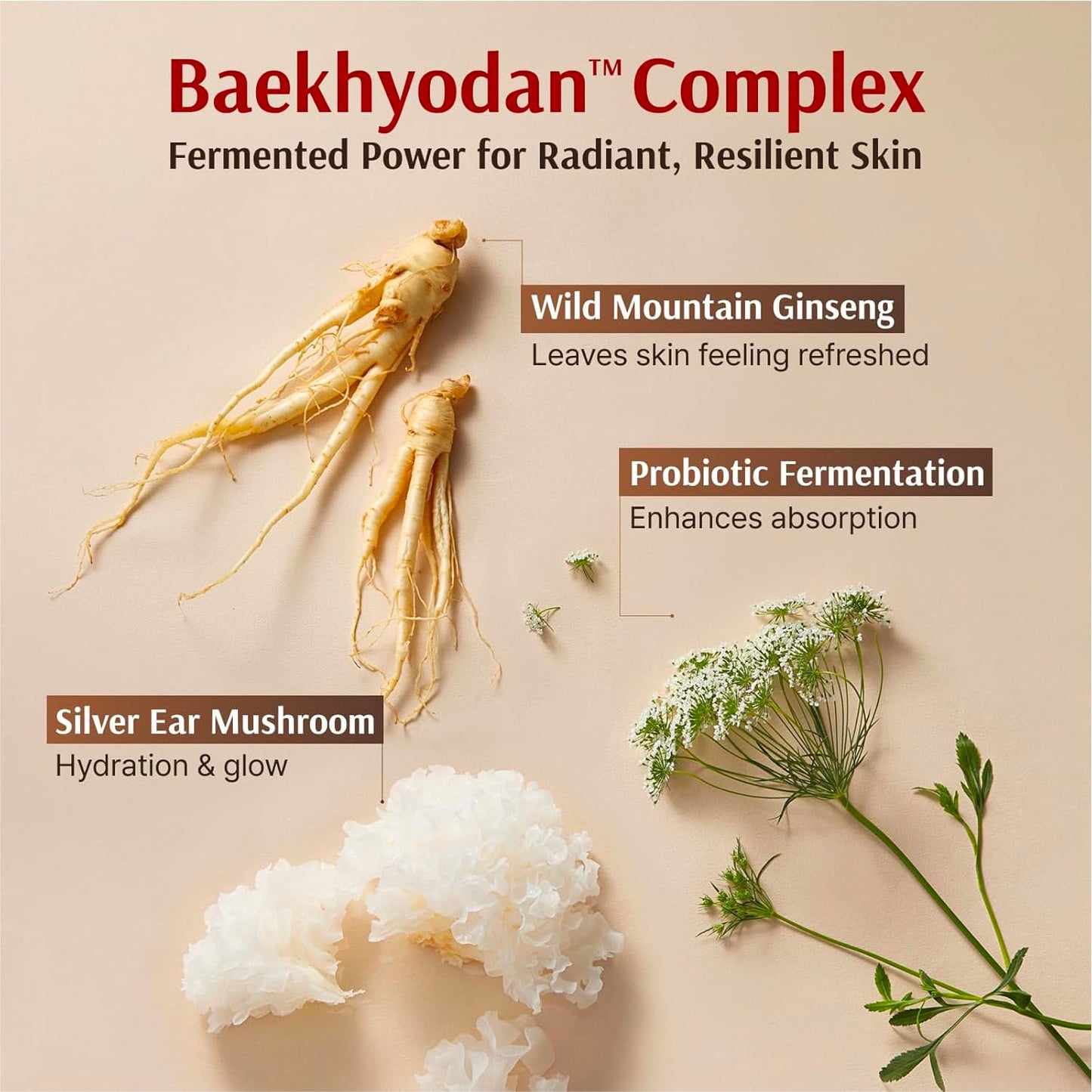 Sooryehan Hyobidam Fermented Bundle Gift Set (14fl oz) - Hyobidam Korean Skin Care Gift Set with Toner, Emulsion, Essence, Cream, Eye Cream, Mask & Foam,. Wild Ginseng Anti-Aging Hydration & Firming.