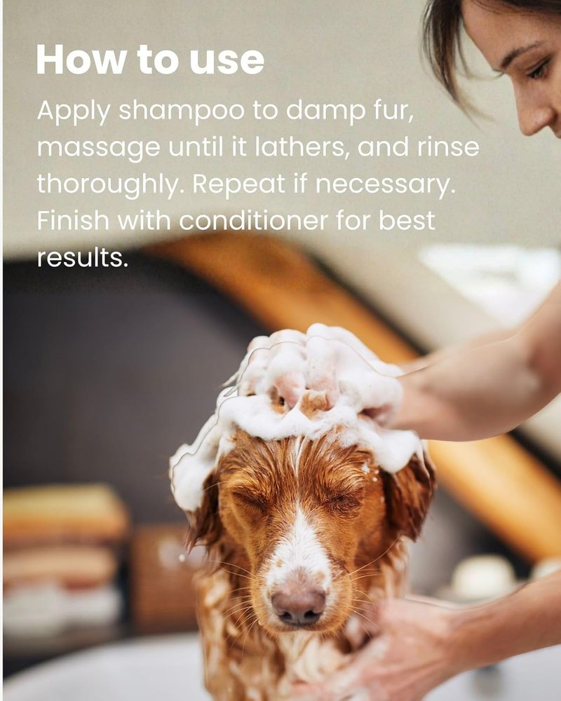 Argan Lovers Professional Shampoo - Deep Nourishment & Intense Shine | 5L, Vegan Formula Enriched with Argan Oil & Vitamin E
