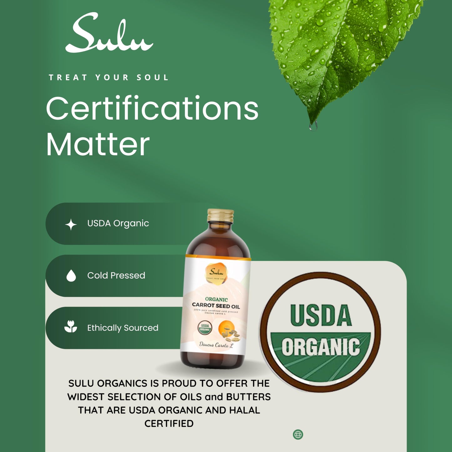 SULU ORGANICS Carrot Seed Oil- USDA Organic Cold Pressed Unrefined (8 oz)