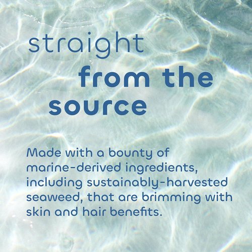 Seaweed Bath Co. Hydrate Body Cream, Lavender Scent, 6 Ounce, Nourishing Hand & Body Lotion Moisturizer for Dry Skin, with Sustainably Harvested Seaweed, Kukui Oil, Hyaluronic Acid, Shea Butter