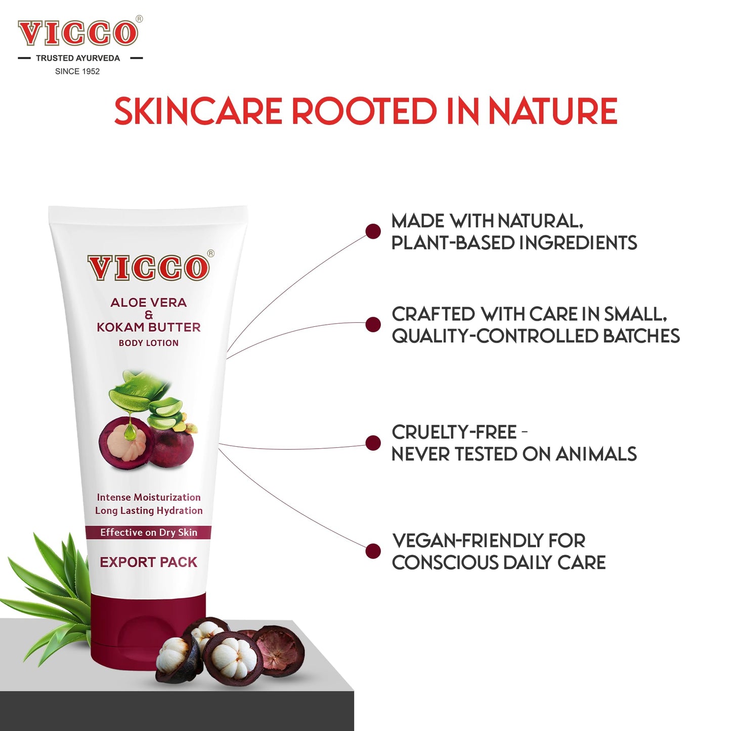 Vicco Aloe Vera and Mangosteen (kokum butter) Lotion for Body, Hands & Face, Soft-Absorbing Texture, 6.76 Fl Oz (Pack of 1)