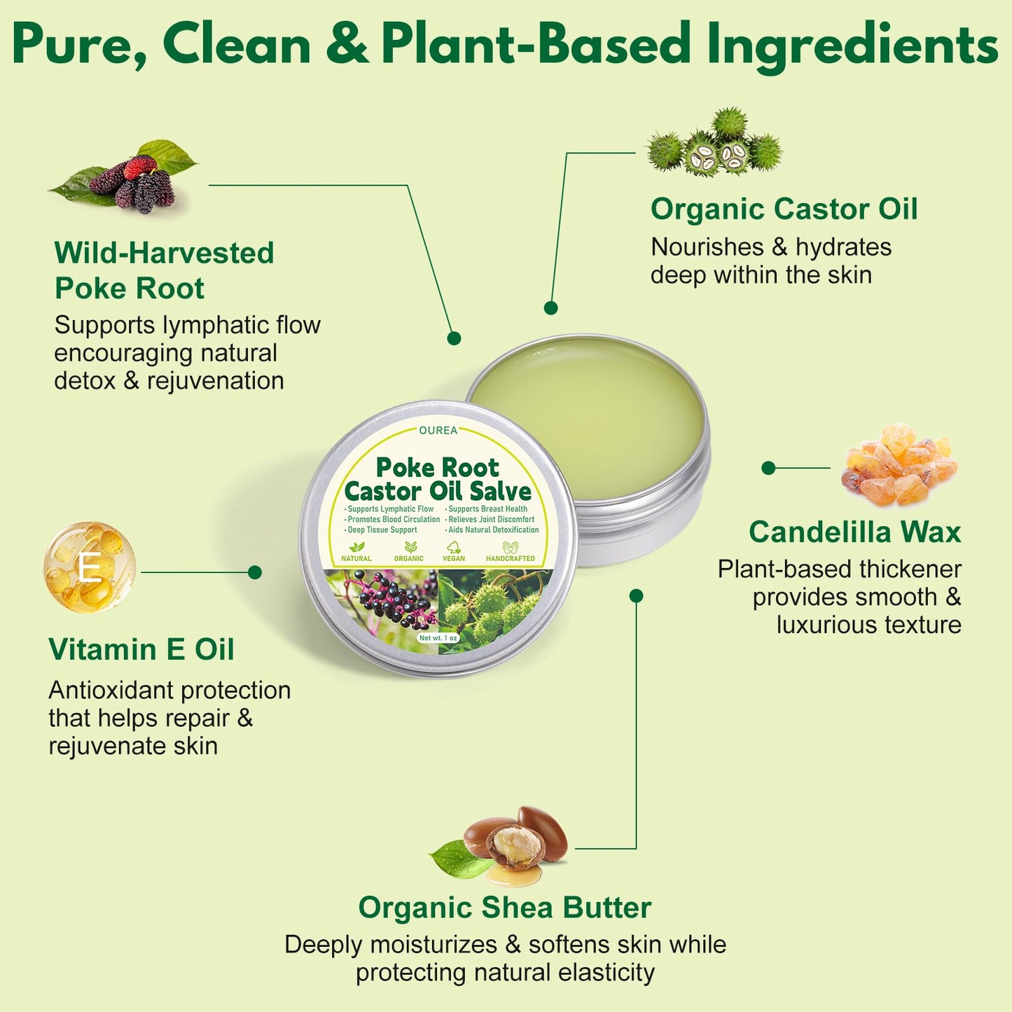 Poke Root Castor Oil Salve, Organic Lymphatic Support Massage Balm, Deep Tissue Ointment for Cyst, Boils, Breast, Fibroids, Swollen Lymph Nodes & Joint, Natural, Vegan - 1 Oz