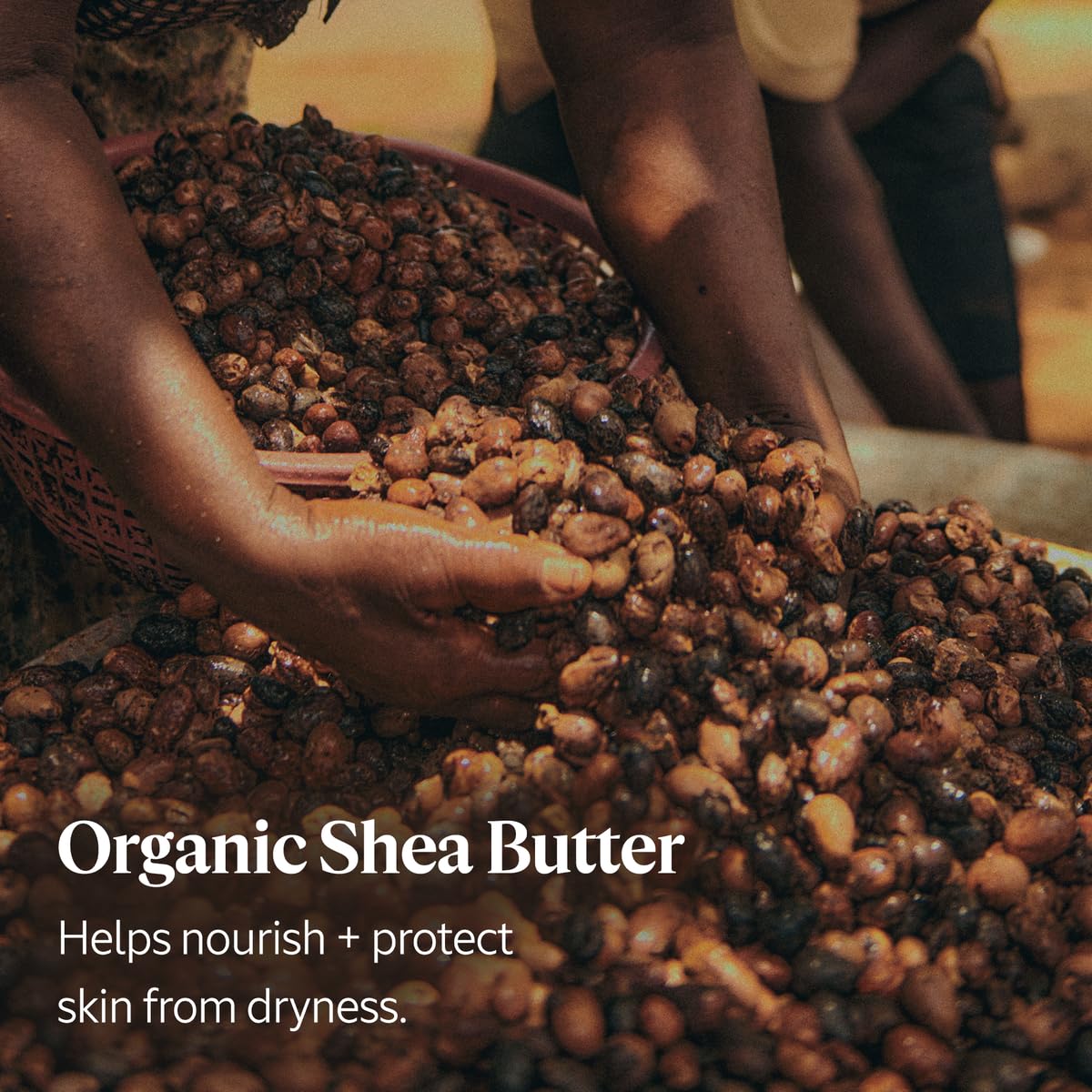 Shea Butter Hand Cream - Nourishing & Vegan Moisturizer for Very Dry Skin | Lavender, Cherry Blossom, Rose & More