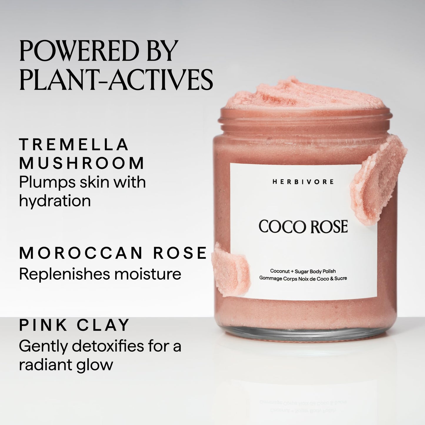 HERBIVORE The Coco Cozy Set | Firming Body Cream & Exfoliating Body Polish
