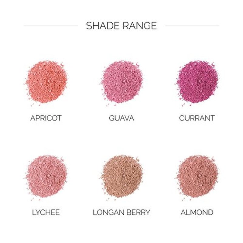 OFIR Elation Powder Blush – Buildable & Highly-Pigmented, Line-Blurring Formula for a Smooth Finish | Guava - Cool Pink Shade, 0.13 oz | Long-Lasting, Lightweight Blush Powder