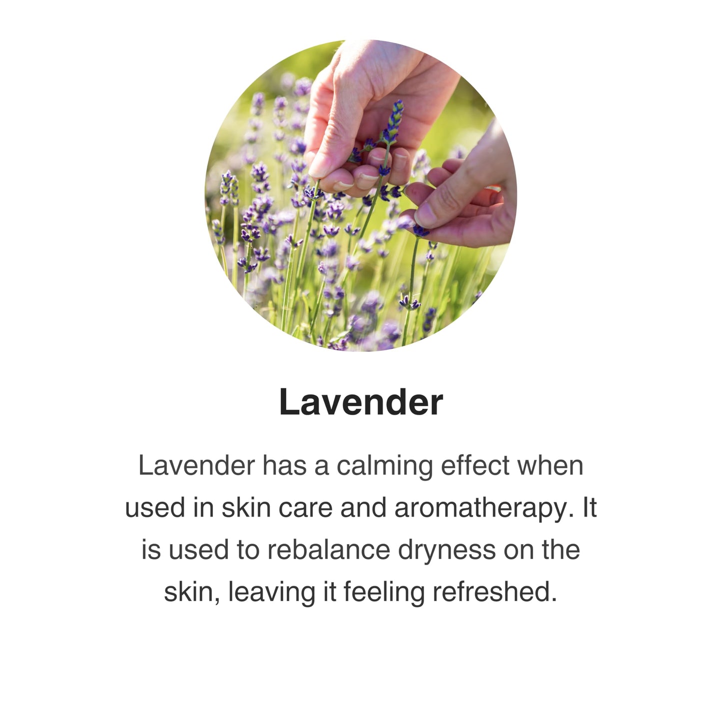 Jurlique - Comforting Body Lotion Lavender