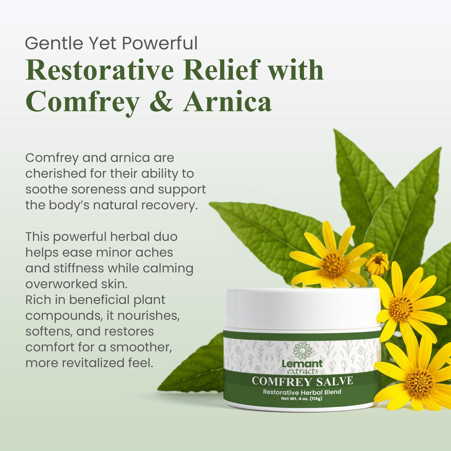 Organic Comfrey Salve for Bone Healing (4 oz) | Natural, Herbal Comfrey Cream for Soothing Comfort and Recovery - Infused with Concentrated Comfrey Oil