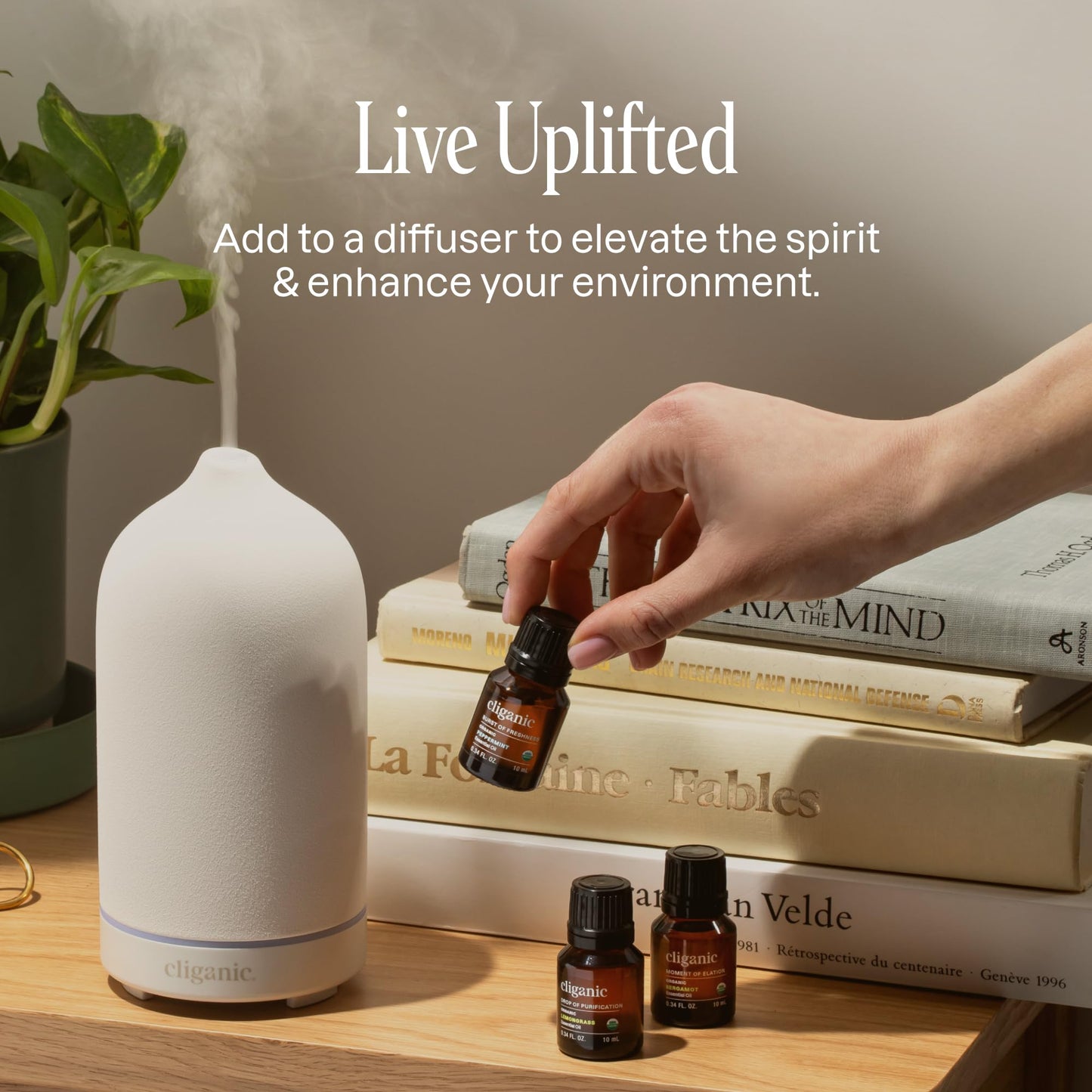 Cliganic Organic Lavender Essential Oil, 1oz - 100% Pure Natural Undiluted, for Aromatherapy Diffuser | Non-GMO Verified