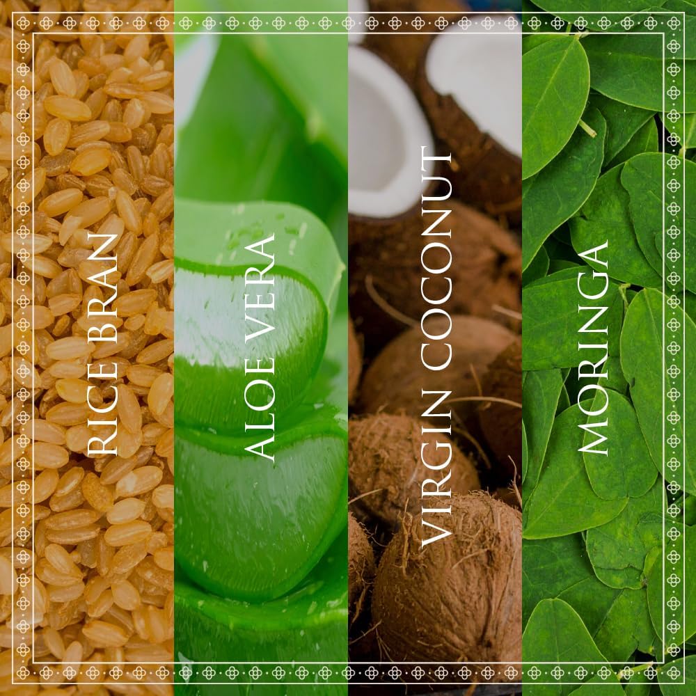 SPA CEYLON WHITE RICE Replenishing Facial Moisturiser | Hydrating Cream with Organic Rice Bran Oil | Vegan | Normal to Dry Skin | 60ml