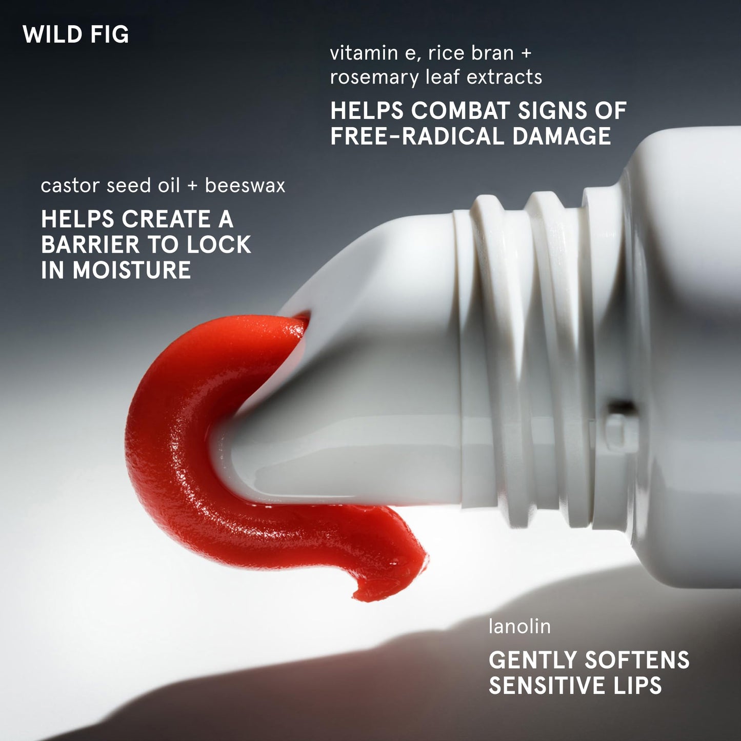 Glossier Balm Dotcom Lip Balm & Universal Salve, Wild Fig Coral Tint
