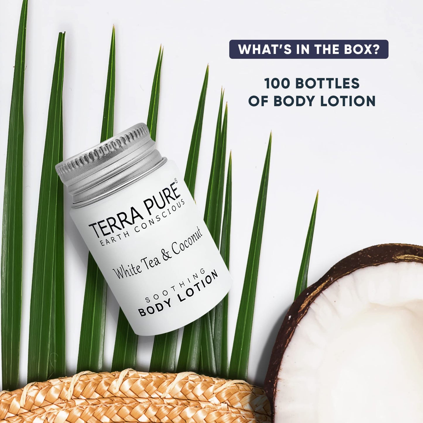 Travel Size Hotel Body Lotion 100 Count 1 oz Bottles Guest Amenities for Hotels Vacation Rentals & Short Term Rentals Paraben Free White Tea & Coconut Scent Infused with Aloe & Olive Oil by Terra Pure
