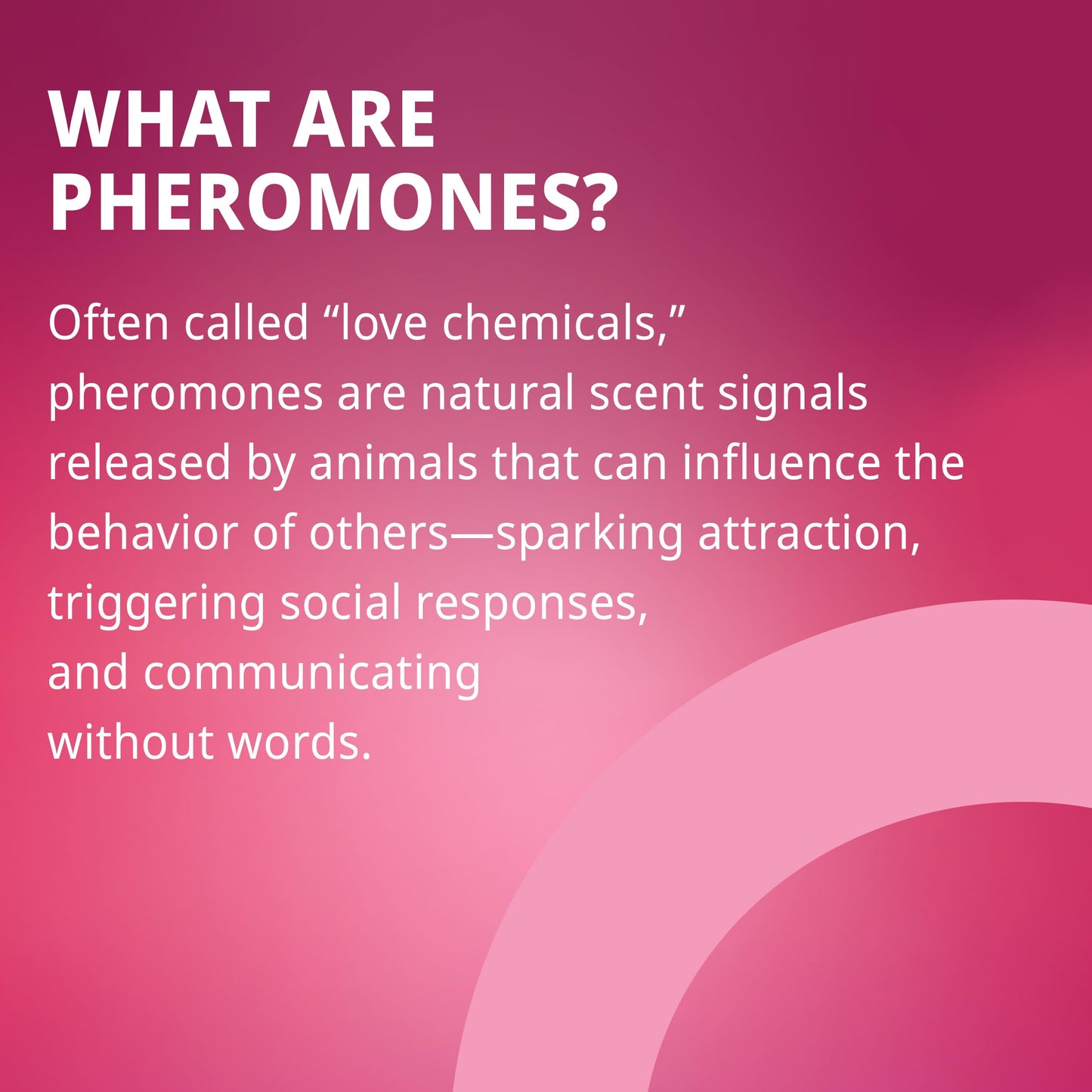 plusOne Pheromone Inspired Perfume Oil – Tropical Fruity Floral – Rollerball with Passionfruit, Orchid & Coconut Milk – 0.34 fl oz