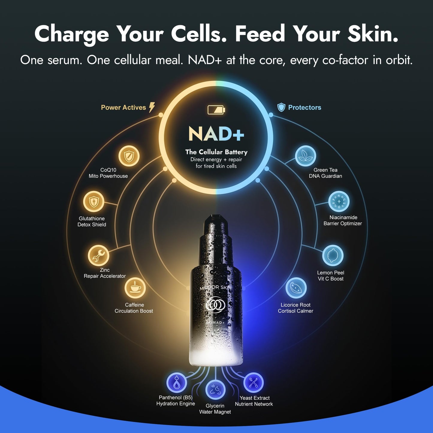 SKINAD+ Liposomal NAD+ Face Serum with Glutathione, CoQ10 & Niacinamide