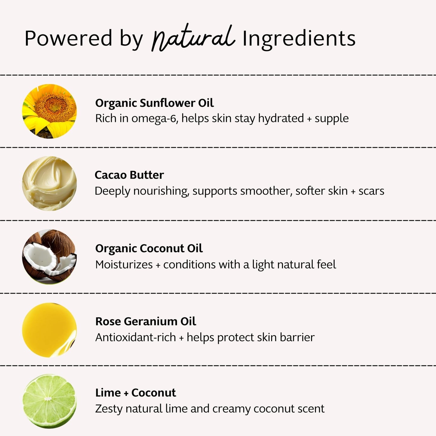 Slo Natural Moisturizing Stick | Body Balm for Dry Skin with Organic Ingredients | Hydrating + Nourishing | Coconut, Cocoa Butter & Antioxidants | Travel-Friendly | Pina Colada + Zinc | 2.11oz/60g