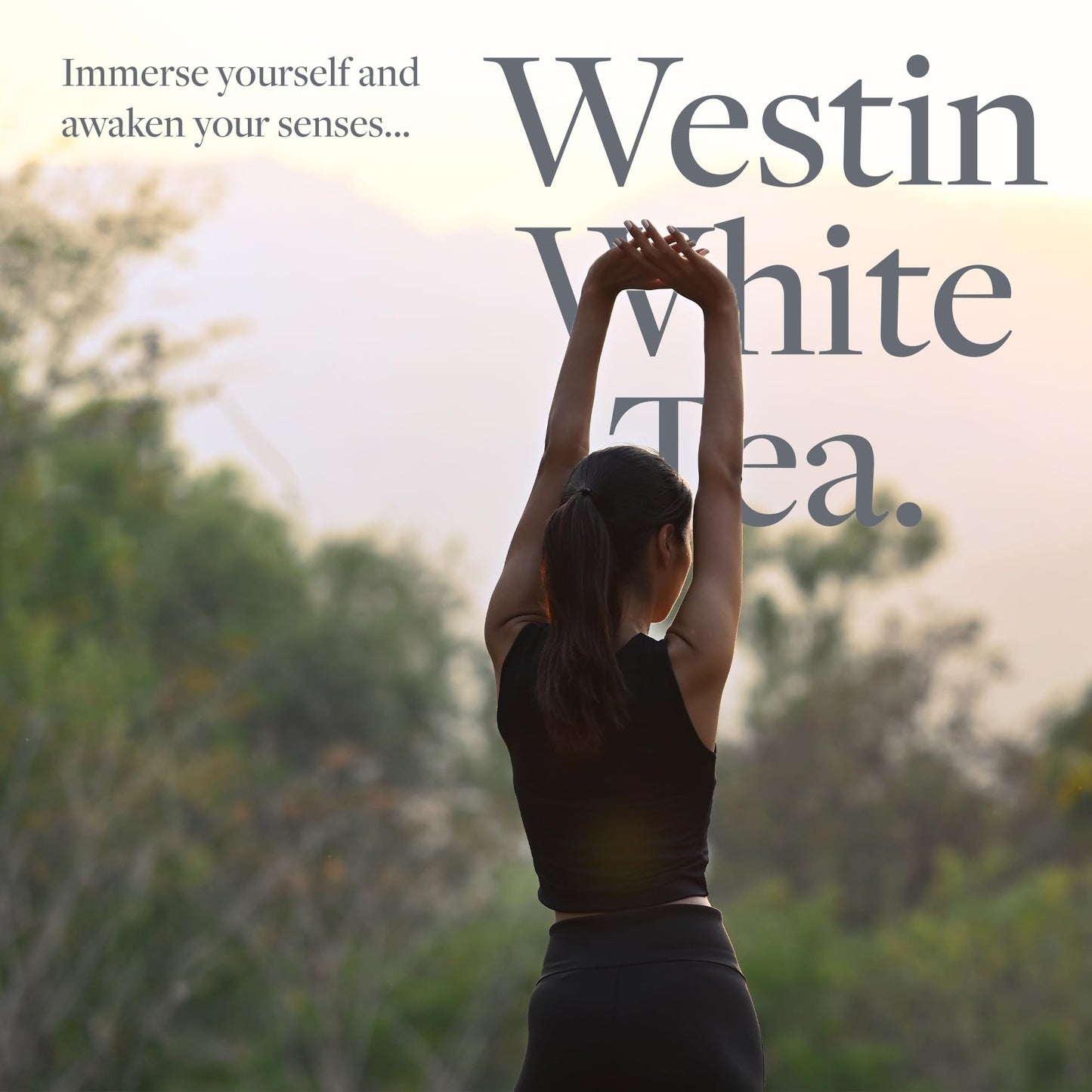 Westin White Tea Liquid Hand Soap - Signature White Tea Fragrance Combined With Aloe - Aromatherapy - Luxury Hotel Spa Collection - 8oz