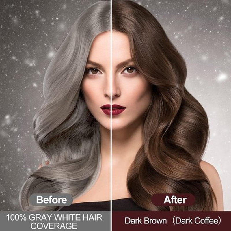 RILSIC Instant Dark Brown Hair Dye Shampoo 3 IN 1,Unisex, Natural Coloring for Grey Hair in Minutes(500ML)