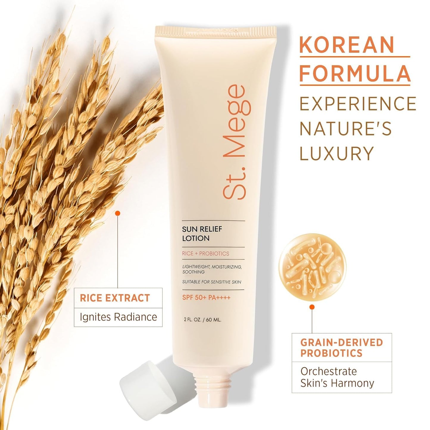 St. Mege Rice Korean Sunscreen: SPF 50+ PA++++, Daily Lightweight Face Sunscreen with Rice Extract & Probiotics - No White Cast, Non-Greasy Sun Block for Sensitive Skin, Travel Size (60ml)
