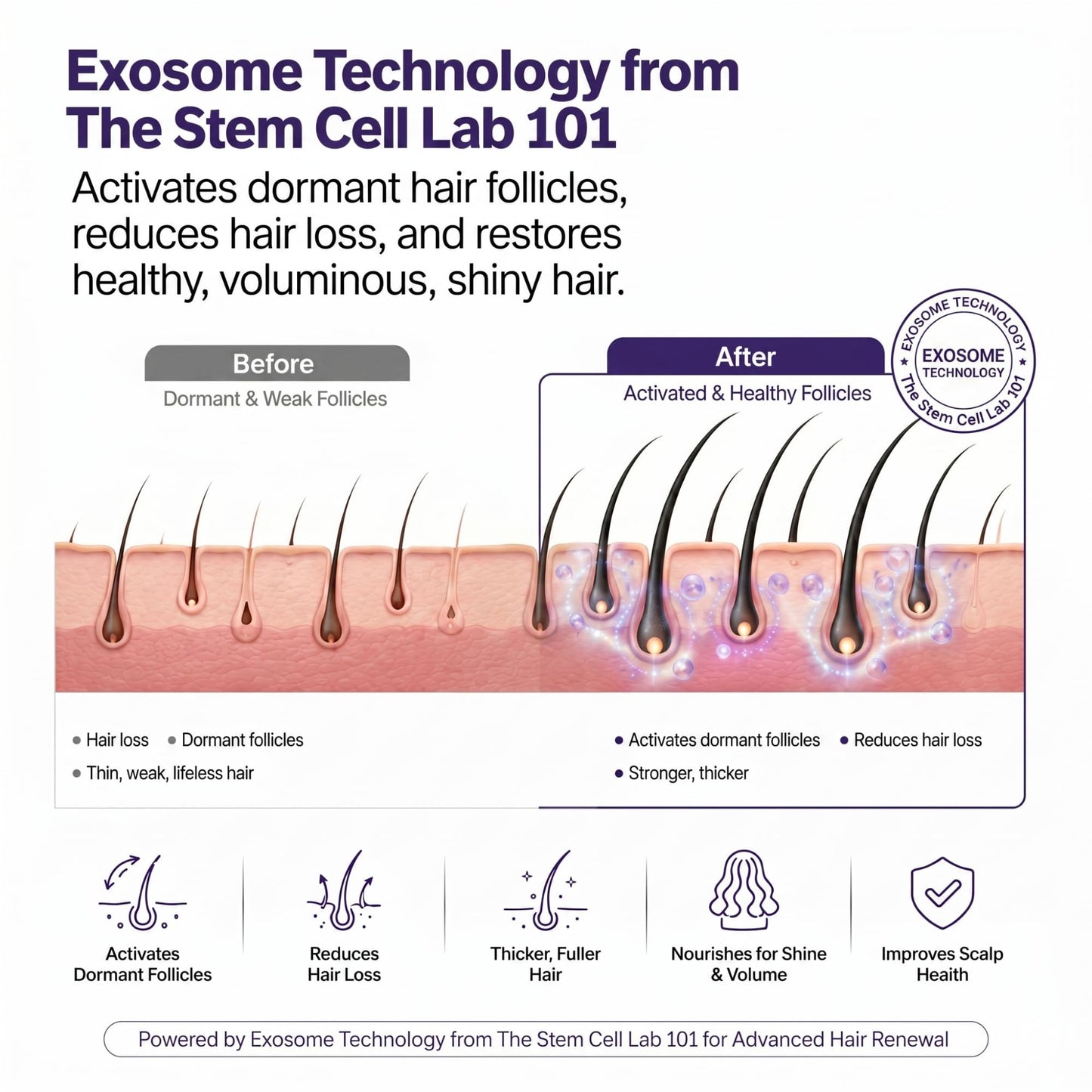 The Stem Cell Lab Hair Serum, Exosome Enriched, 50ml