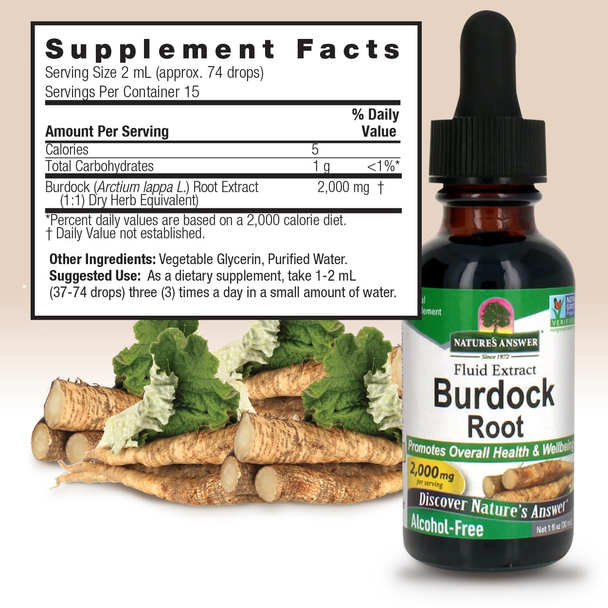 Nature's Answer Alcohol-Free Burdock Root 2000mg 1oz Extract | Promotes Overall Wellbeing | Gluten-Free, Non-GMO, Vegan, No Artificial Flavors or Preservatives | Single Count