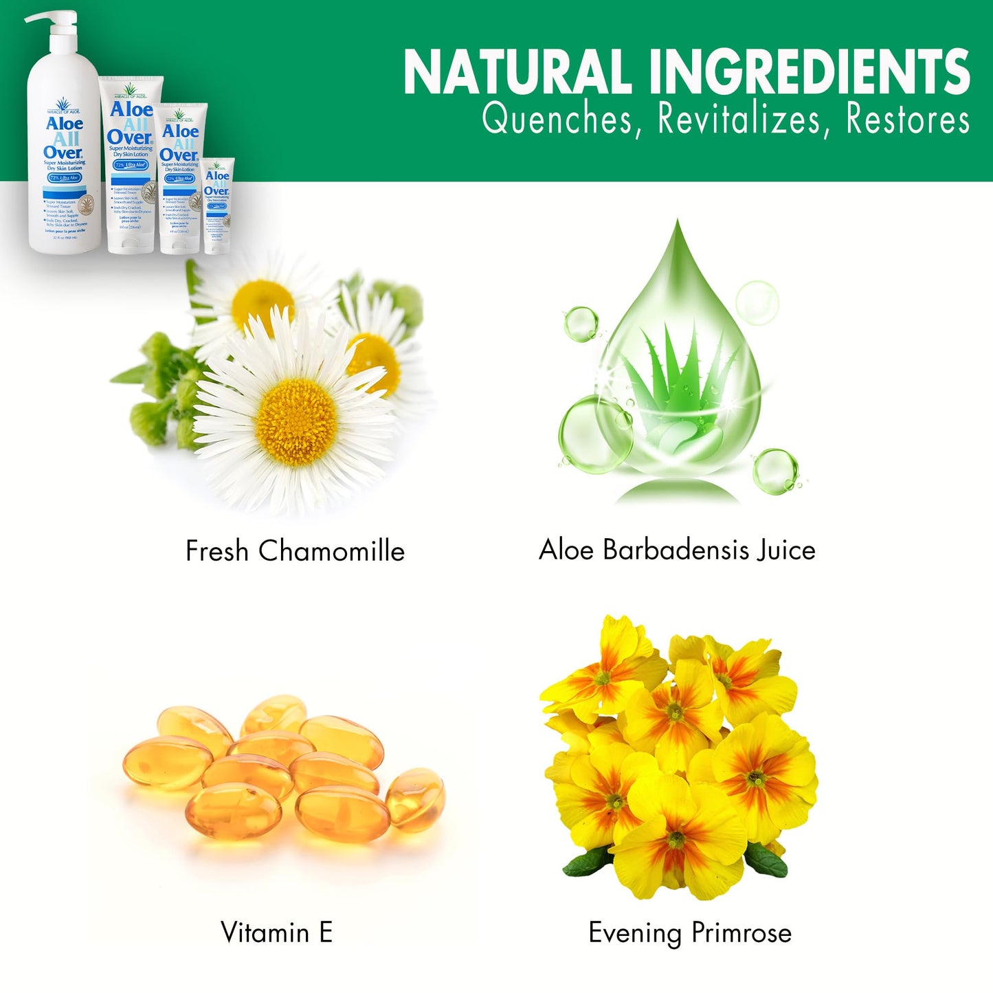 Miracle of Aloe’s Aloe All Over Super Moisturizing Dry Skin Lotion (2-Pack, 4 oz) - Made with 72% UltraAloe Aloe Vera Gel. Safe for Everyone: Men, Women, Kids. Ends Flaking and Restores Dry Skin Fast