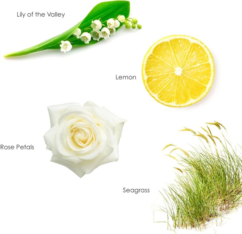 English Spa Room Spray - Sea Grass, Lemon & Lily of the Valley - 3.5oz Home & Travel Freshener