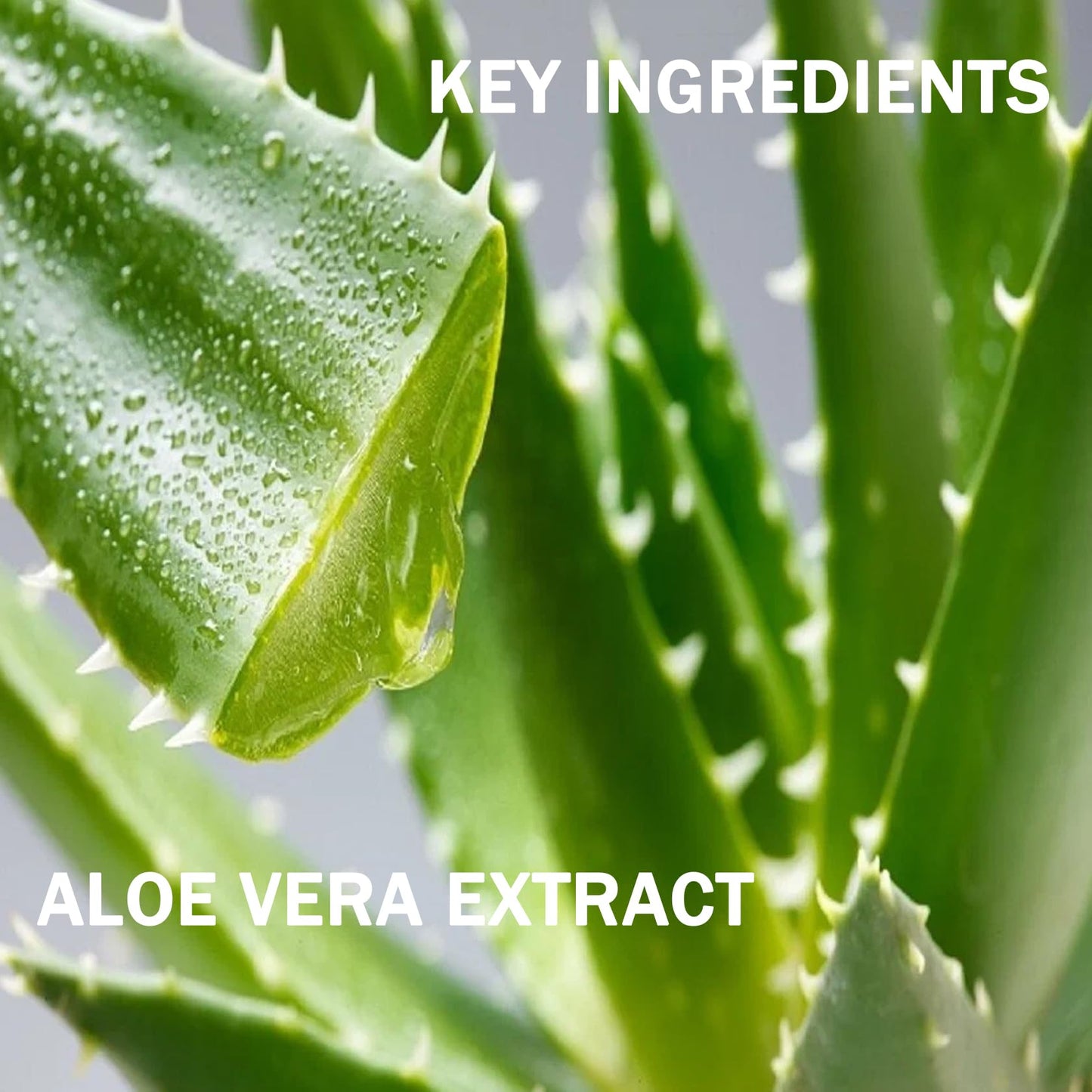 JunKuJK Purity Aloe Vera Gel - Hydrating Aloe Vera Gel for Face and Skin,No Sticky Moisturizing Aloe Gel D