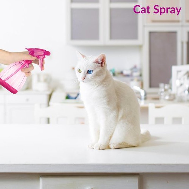 DilaBee Spray Bottles (12 Oz) Water Spray Bottle for Hair, Plants, Cleaning Solutions, Cooking, BBQ, Squirt Bottle for Cats - Empty Spray Bottles - BPA-Free - Multicolor (Pink, 1 Pack)