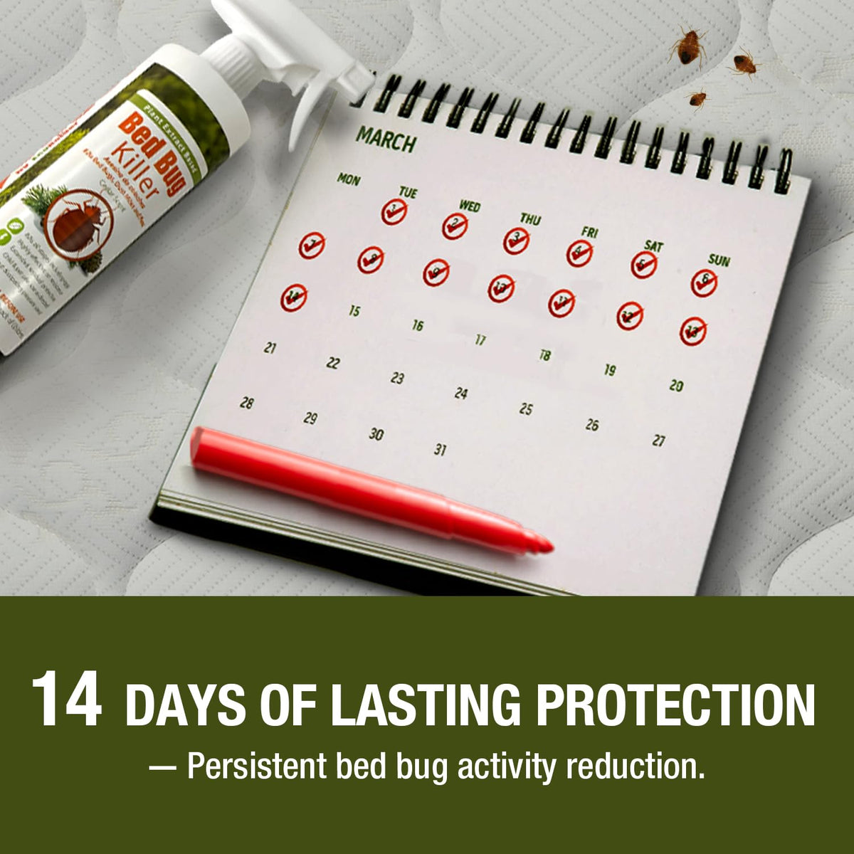 Bed Bug Killer 3 oz EcoVenger by EcoRaider,Travel Size,100% Kill Efficacy, Bedbugs & Mites, Eggs & The Resistant, USDA BIO-Certified, Plant Extract Based & Non-Toxic, Child & Pet Safe