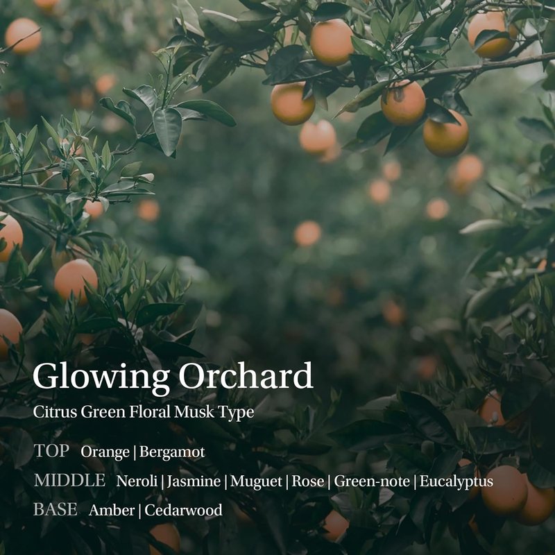 Silky Gleam Body Lotion - Botanical Oils & Niacinamide for 24H Hydration | Glowing Orchard (450ml)